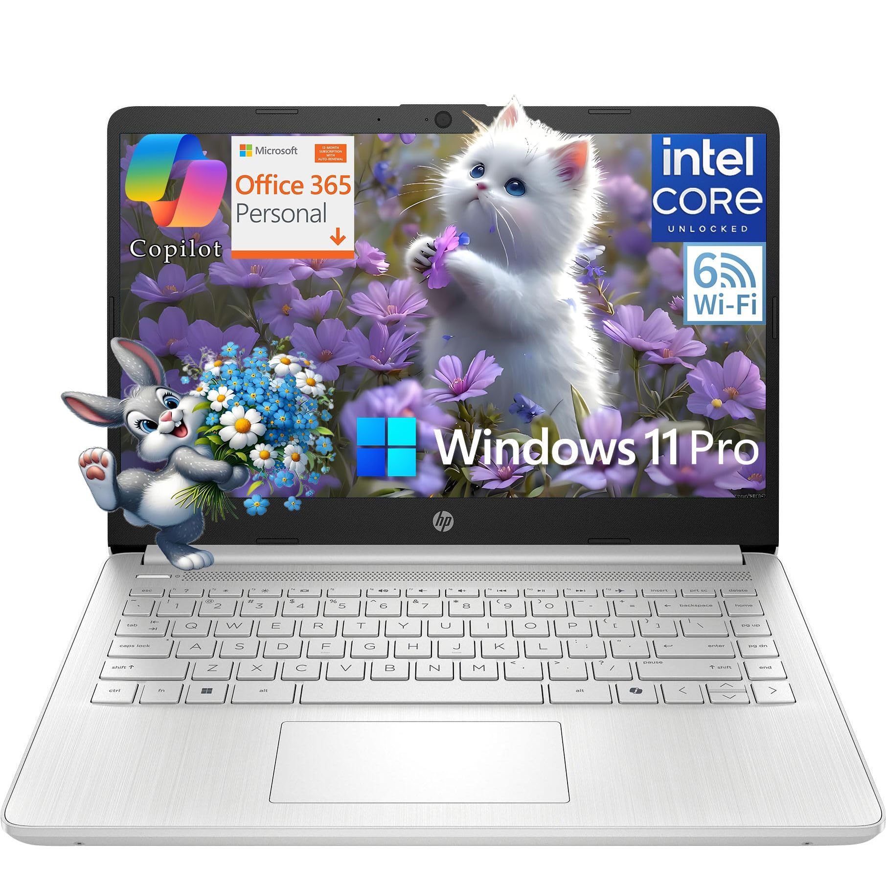 Amazon.com: HP 14